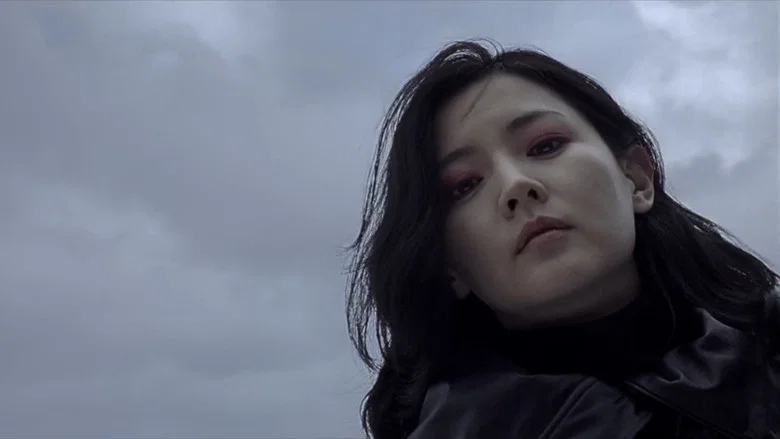 Lady Vengeance screenshot 6