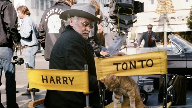 Harry and Tonto screenshot 2