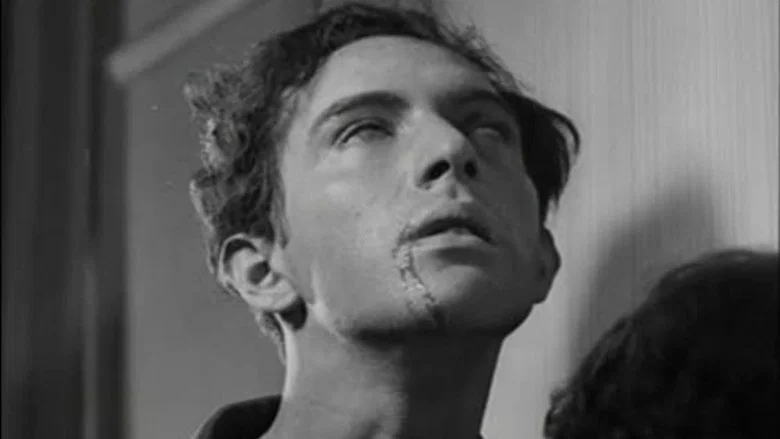 Un Chien Andalou screenshot 6