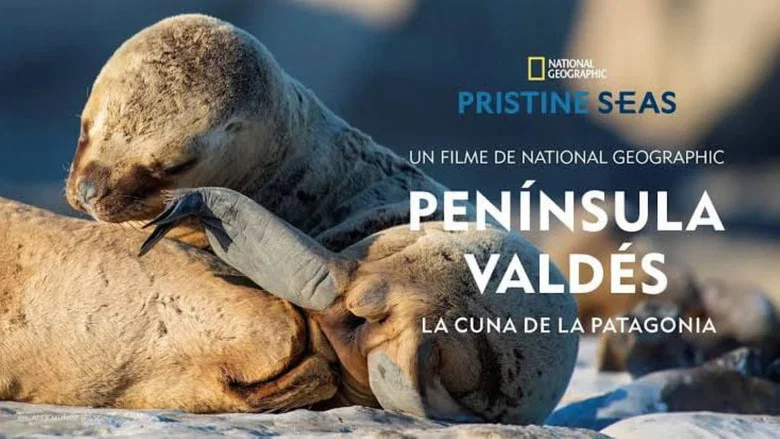Península Valdés: La Cuna de la Patagonia screenshot 1