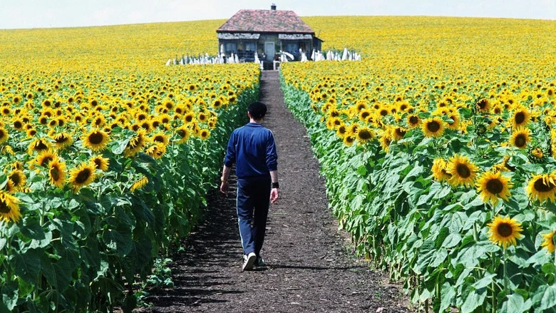 Everything Is Illuminated screenshot 3