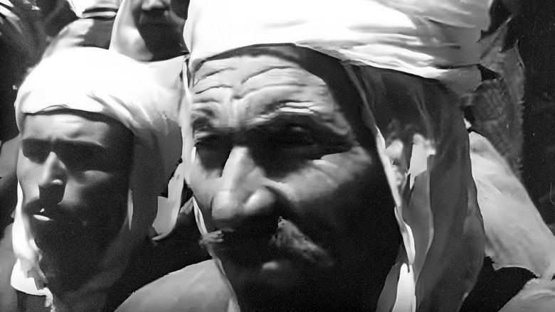 Our Algeria screenshot 1