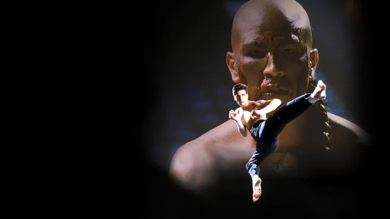 Kickboxer 4: The Aggressor screenshot 2