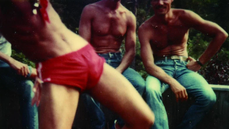 Gay Sex in the 70s screenshot 2