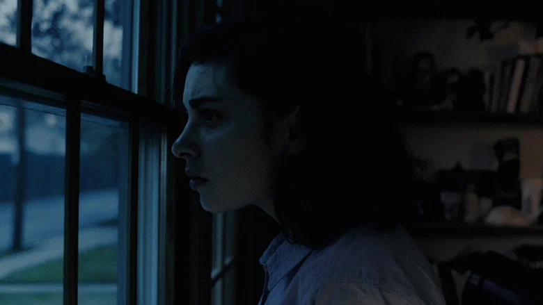 Levittown screenshot 1