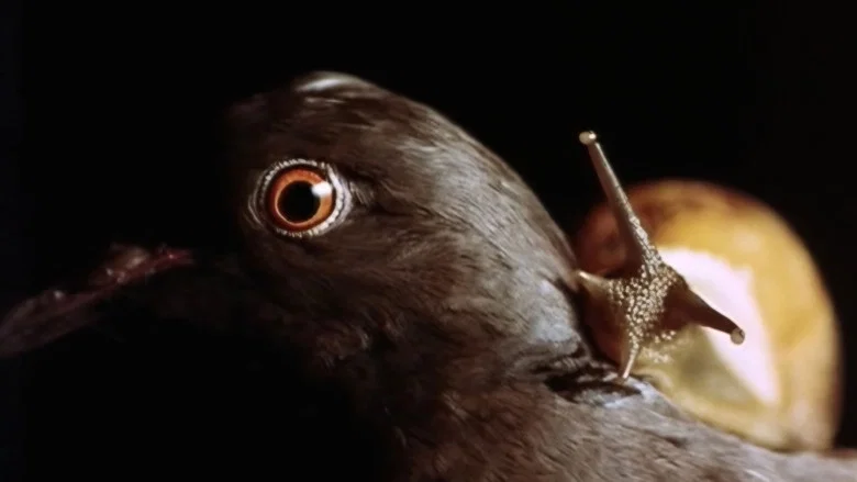 Anguish screenshot 1