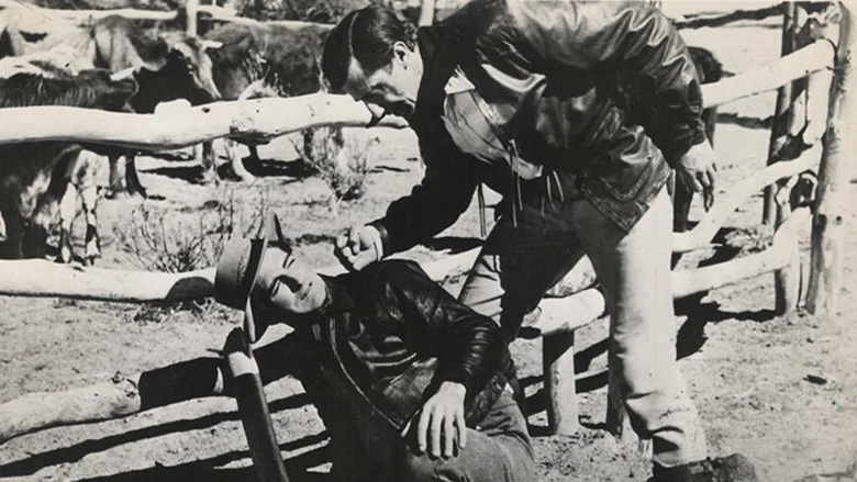 The Phantom Stockman screenshot 1