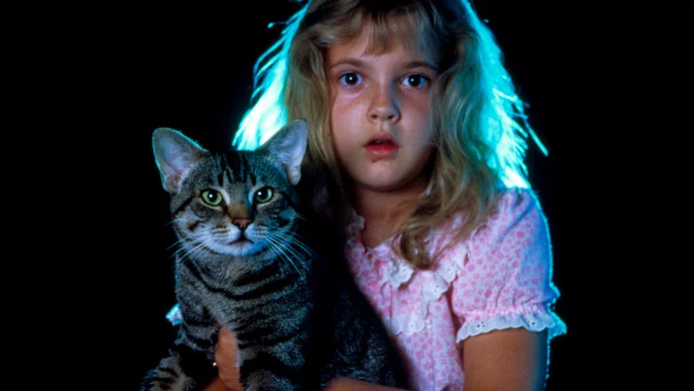Cat's Eye screenshot 5