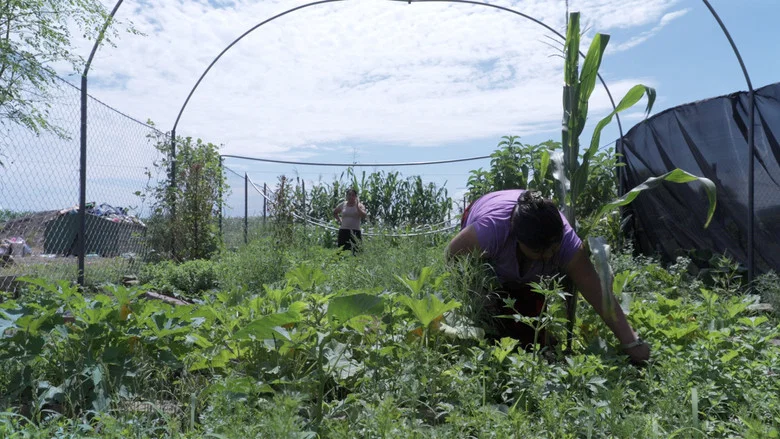 Voices of the Earth: Health and Agroecology screenshot 4