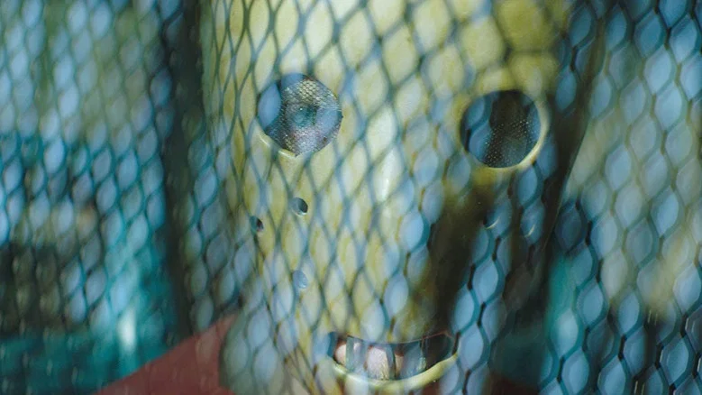 Play or Die screenshot 8