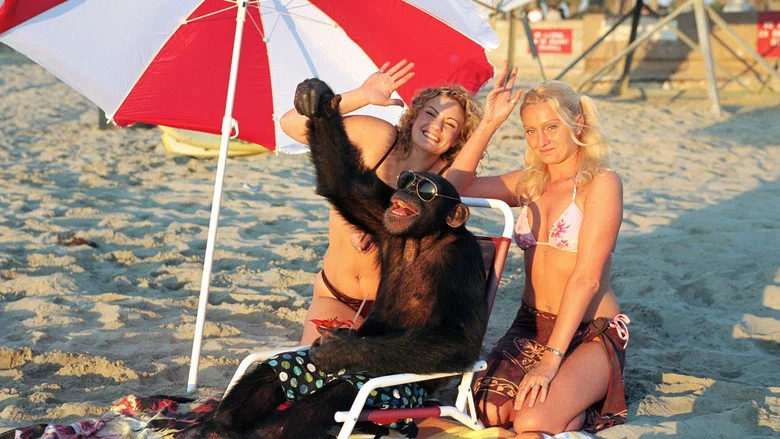 Funky Monkey screenshot 6
