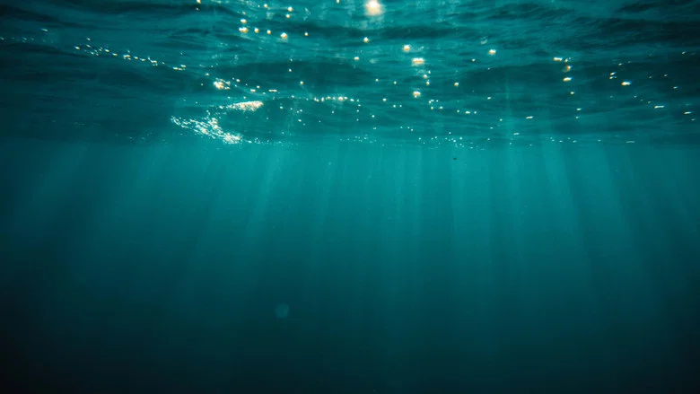 At Sea screenshot 3