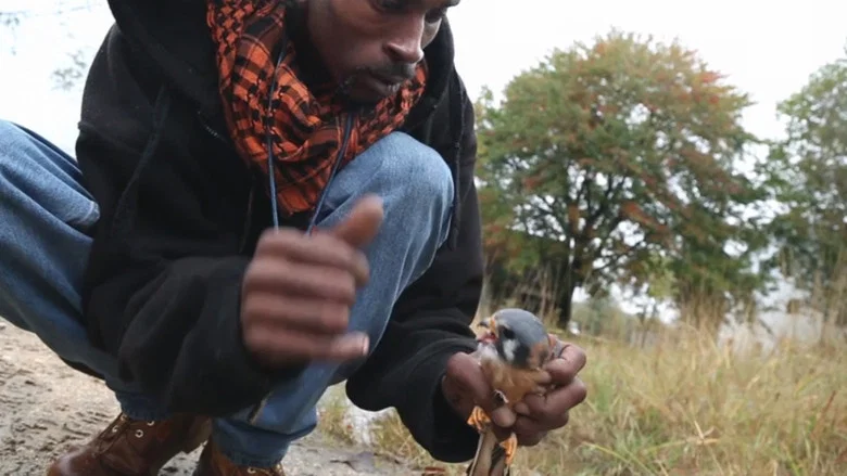 The Falconer screenshot 2