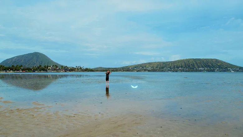 Songs of Love from Hawaii screenshot 3