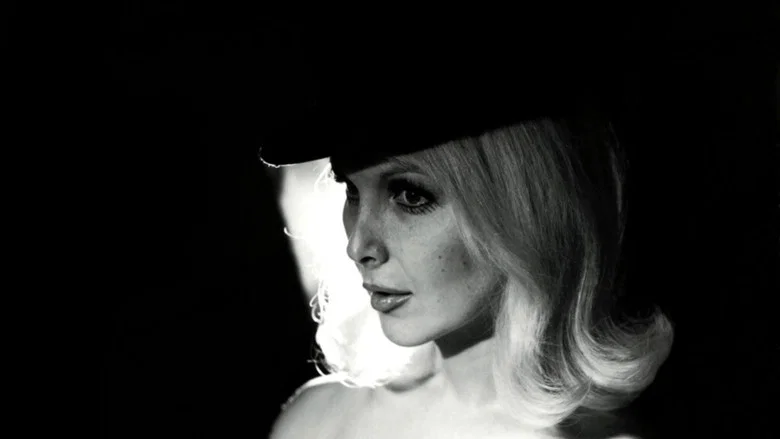 Bambi screenshot 4