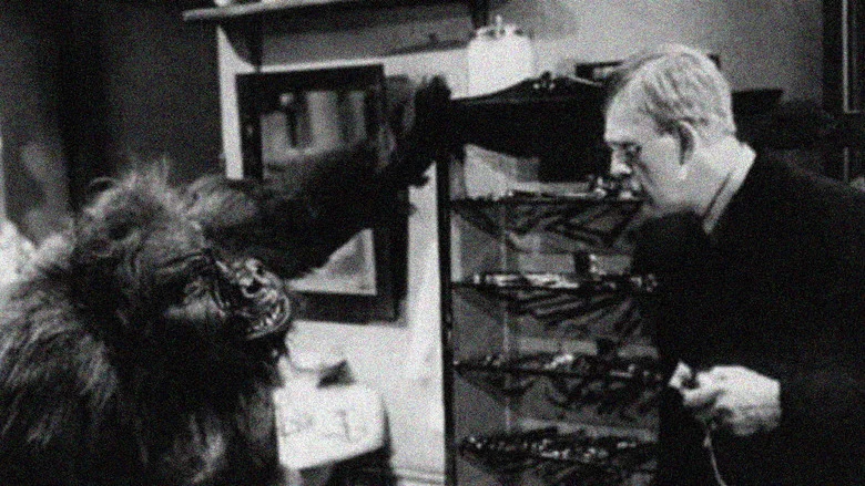 The Ape screenshot 1