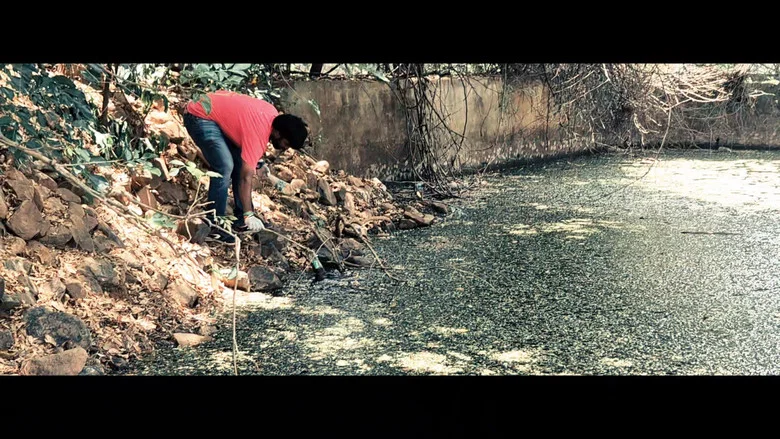 Eighth Hill - A Sacred Revolution: Tirupati's Dream without Plastic screenshot 5