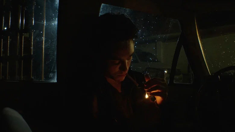 Amos, Vogel screenshot 8