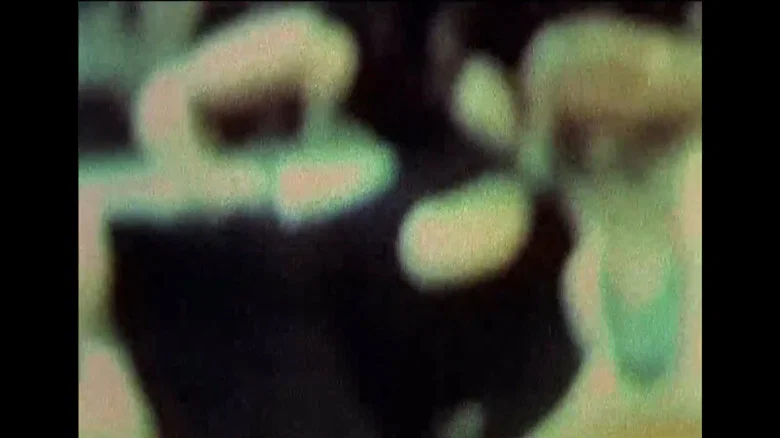 Julien Donkey-Boy screenshot 3