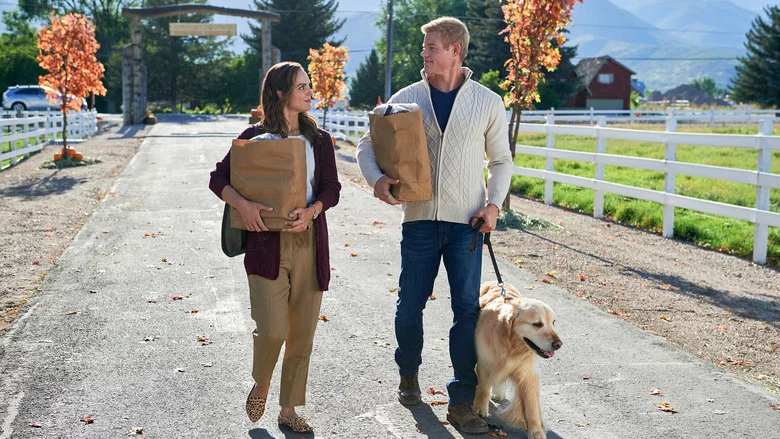 Love, Fall & Order screenshot 2