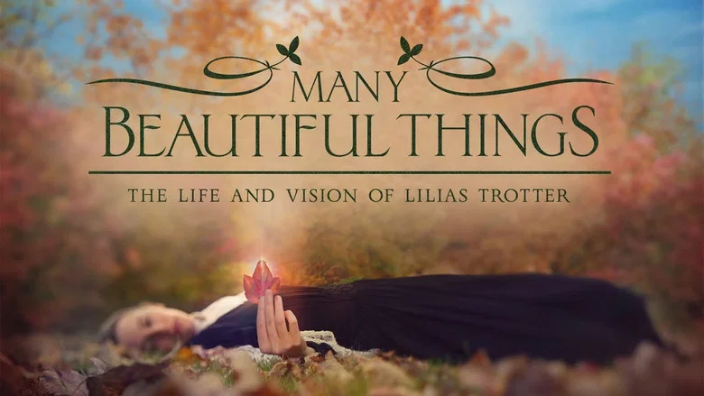Many Beautiful Things screenshot 3