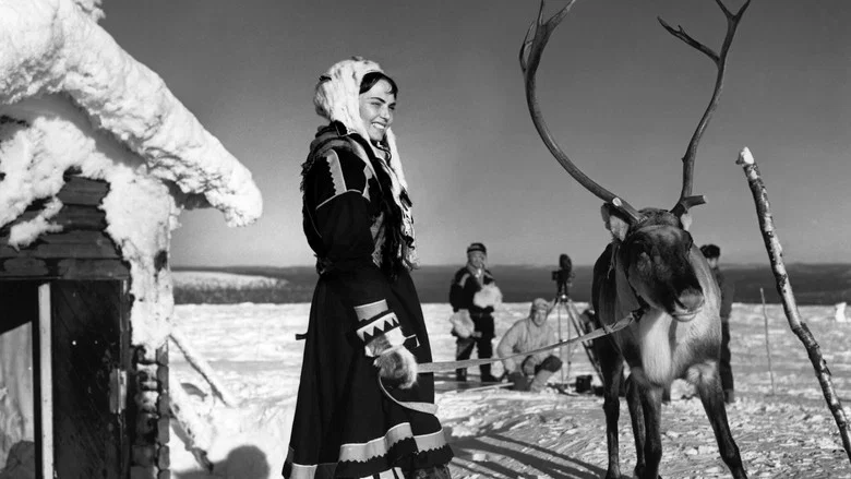 The White Reindeer screenshot 1