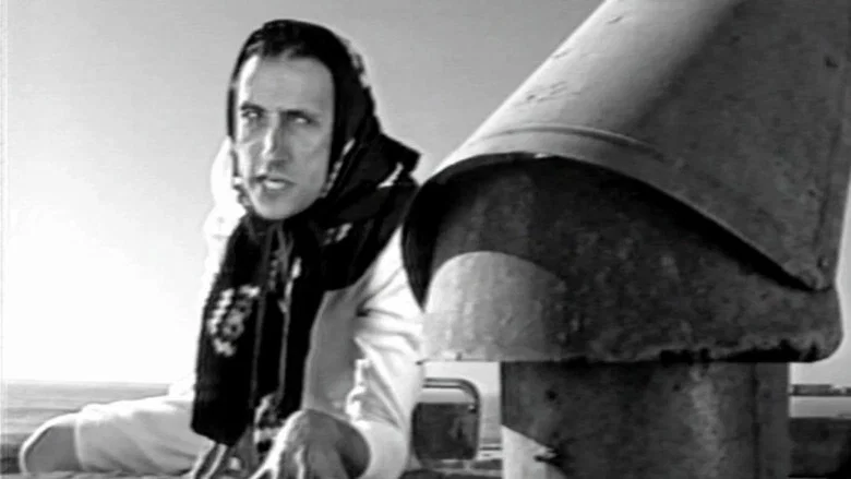 Hai Mangiato? screenshot 1