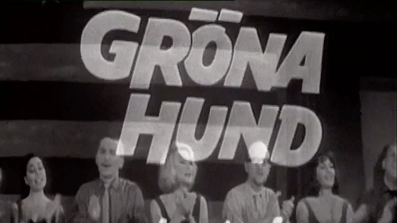 Gröna Hund screenshot 1
