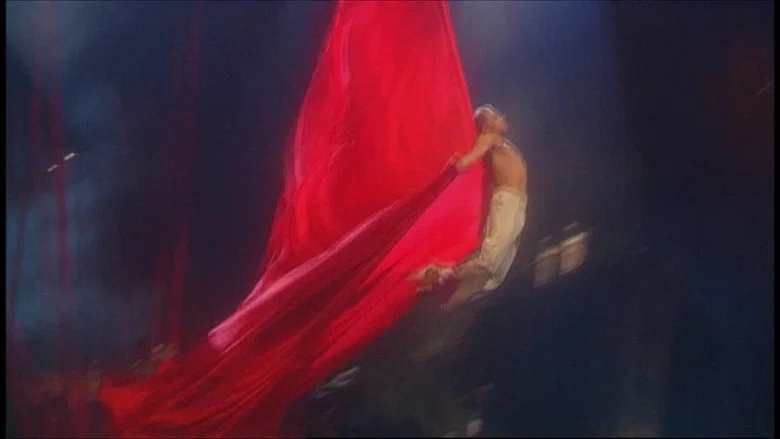 Cirque du Soleil: La Nouba screenshot 3
