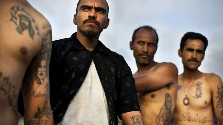 Narco Cultura screenshot 1