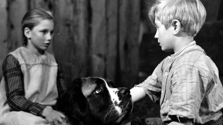 Heart of a Child screenshot 1