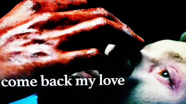 Come Back My Love screenshot 2
