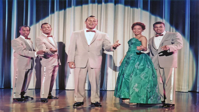 Live Performance From The Platters screenshot 1