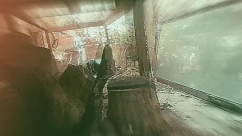Vague Void screenshot 1