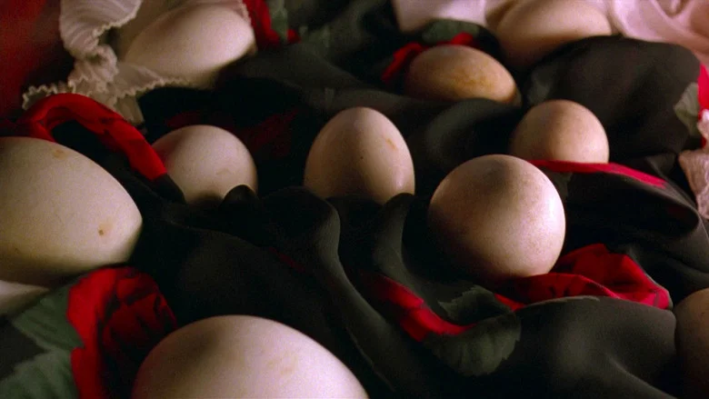 Fly Away Home screenshot 8