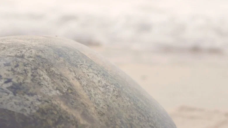 They Never Leave the Sea screenshot 2