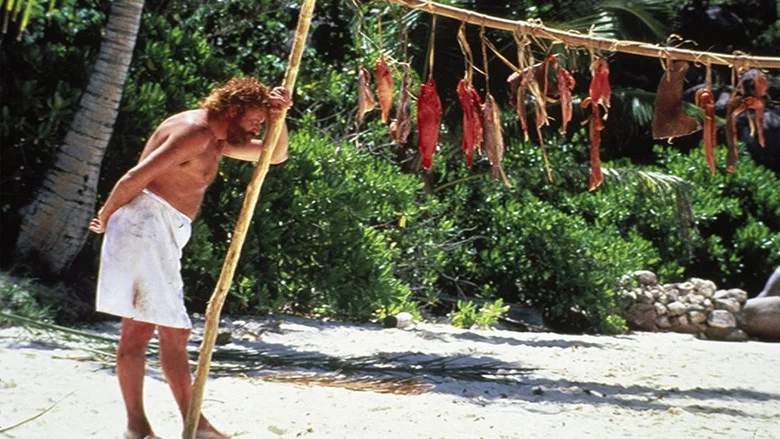 Castaway screenshot 4
