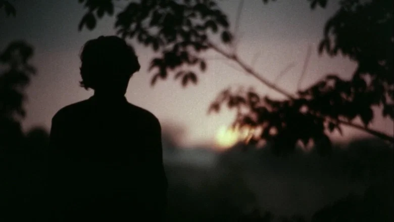 Pokkuveyil screenshot 5
