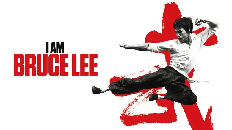 I Am Bruce Lee screenshot 3
