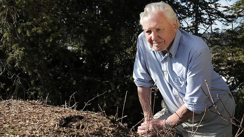 Attenborough and the Empire of the Ants screenshot 3
