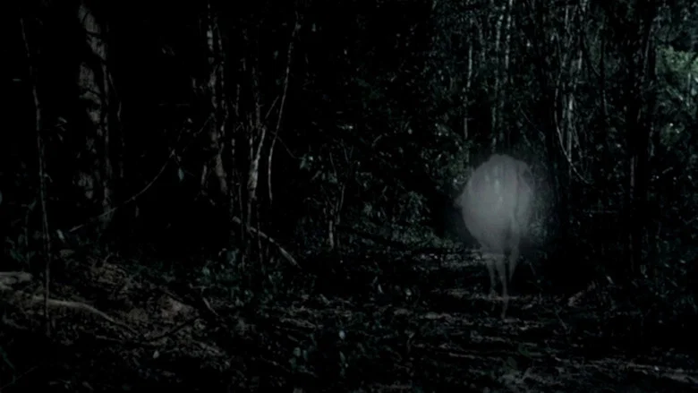 Tropical Malady screenshot 7