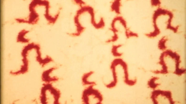Sandman screenshot 2