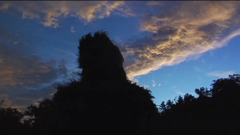 The Bigfoot Diaries screenshot 1