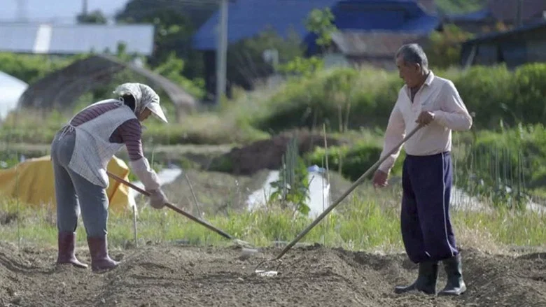 Chernobyl, Fukushima: Living with the Legacy screenshot 2