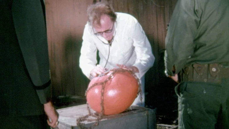 Attack of the Killer Tomatoes! screenshot 2