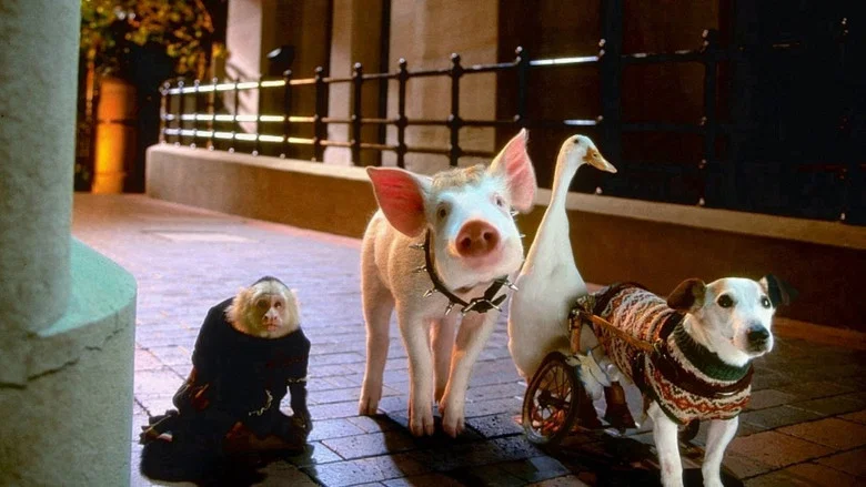 Babe: Pig in the City screenshot 7