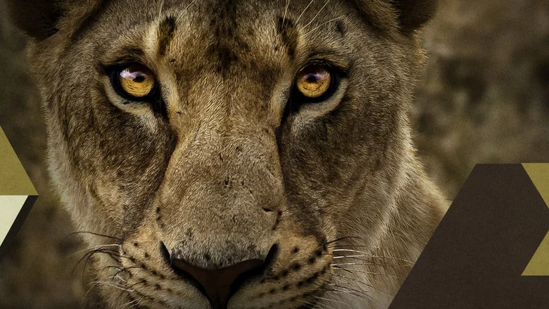 Malika the Lion Queen screenshot 3