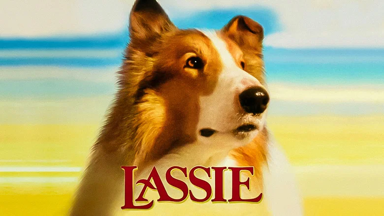 Lassie screenshot 7