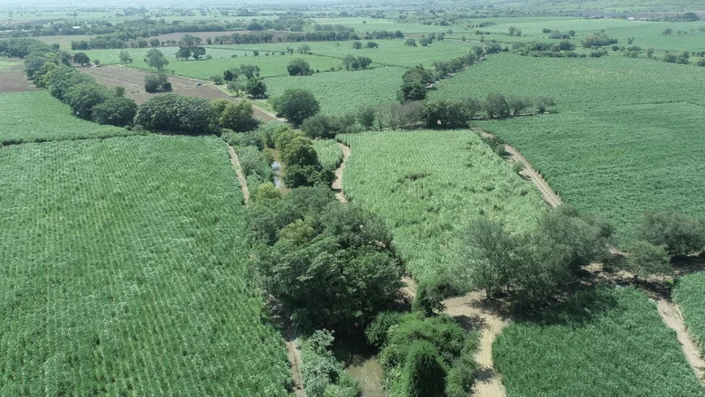 Voices of the Earth: Health and Agroecology screenshot 5