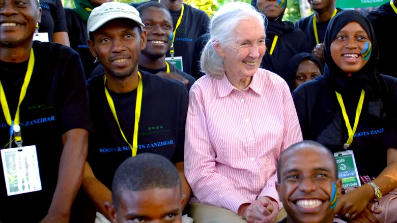 Jane Goodall: The Hope screenshot 5